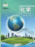 北京版九年级化学上册