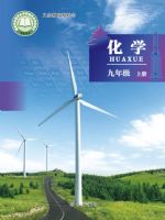 北京版九年级化学上册(2024秋版)
