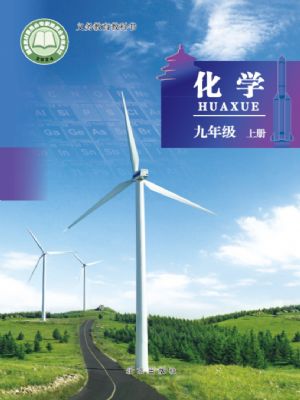 北京版九年级化学上册(2024版)