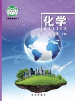 北京版九年级化学下册