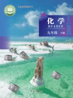 北京版九年级化学下册(2025春版)
