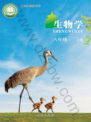 꼶ϲ(2025)
