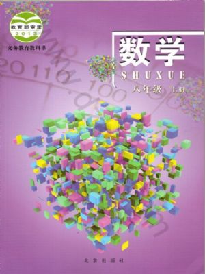 北京版八年级数学上册