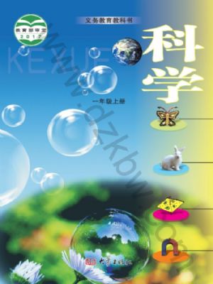 大象版一年级科学上册