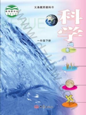 大象版一年级科学下册