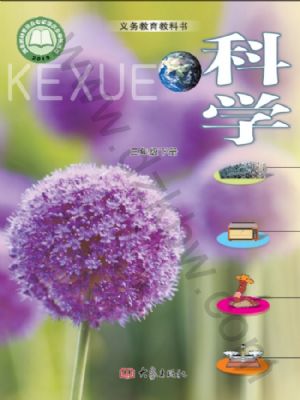 大象版三年级科学下册