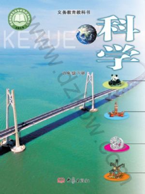 大象版六年级科学下册