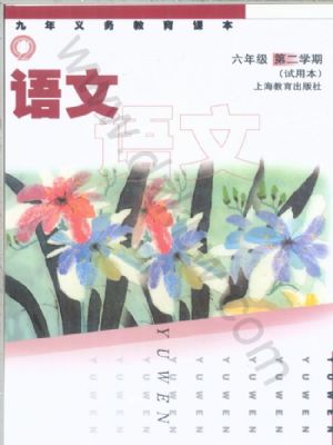 沪教版六年级语文下册