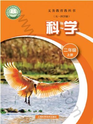 ư꼶ѧϲ(2025)