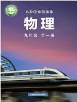 沪科版九年级物理全册(2025秋版)