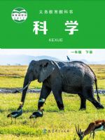 教科版一年级科学下册