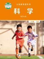 教科版二年级科学下册