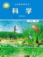 教科版六年级科学下册