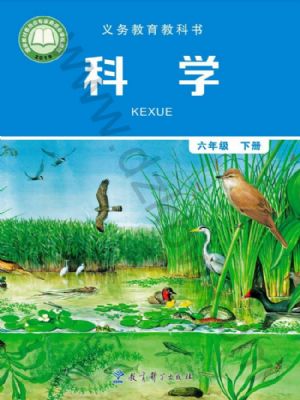 教科版六年级科学下册
