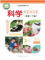 冀人版一年级科学下册(2025春版)