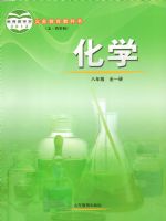 鲁教版八年级化学全册