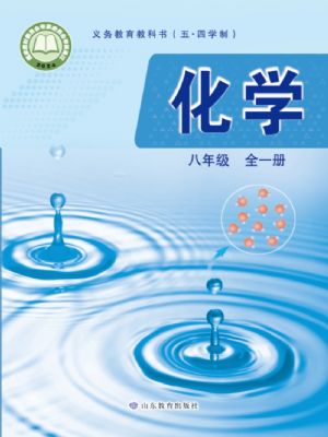 鲁教版八年级化学全一册(2024版)