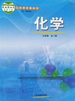 鲁教版九年级化学全册