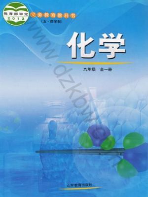 鲁教版九年级化学全册