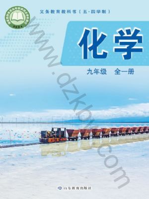 鲁教版九年级化学全一册(2025秋版)
