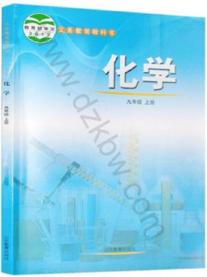 鲁教版九年级化学上册