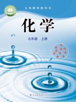 鲁教版九年级化学上册(2024秋版)