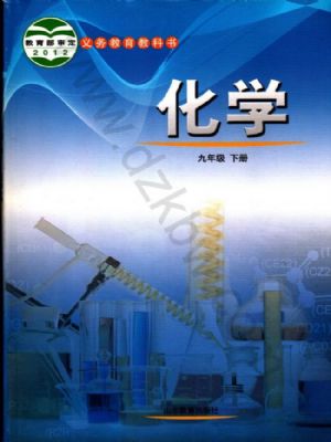 鲁教版九年级化学下册