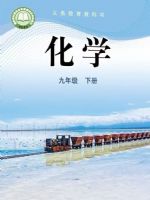 鲁教版九年级化学下册(2025春版)
