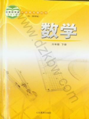 鲁教版六年级数学下册