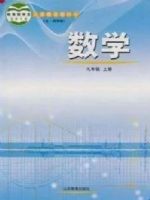 鲁教版九年级数学上册