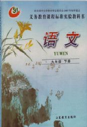 鲁教版九年级语文下册