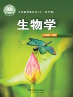 鲁科版六年级生物下册(2025春版)