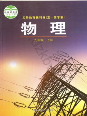 鲁科版九年级物理上册