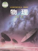 鲁科版九年级物理下册