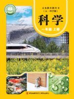 青岛版一年级科学上册(2024秋版)