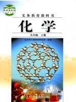 仁爱版九年级化学上册