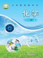 仁爱版九年级化学上册(2024秋版)