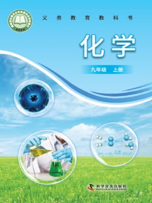 仁爱版九年级化学上册(2024版)