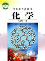 仁爱版九年级化学下册