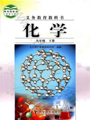 仁爱版九年级化学下册