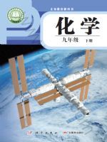 仁爱版九年级化学下册(2025春版)