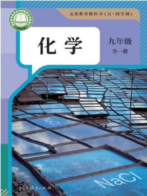 人教版九年级化学全一册(2025秋版)