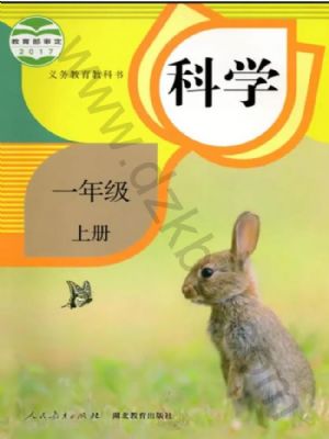 人教版一年级科学上册