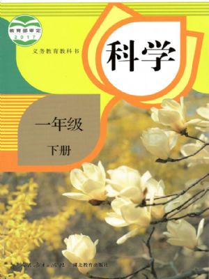 人教版一年级科学下册