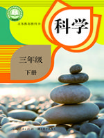 人教版三年级科学下册