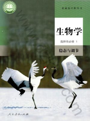 人教版高二生物选择性必修1 稳态与调节