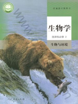 ˽̰߶ѡԱ2 뻷