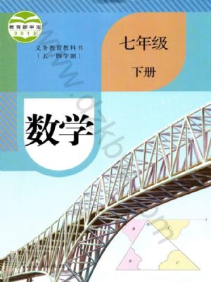 人教版七年级数学下册