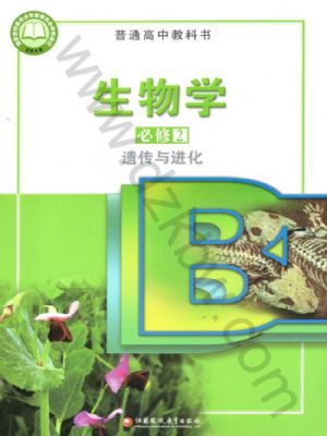 ս̰һ2 Ŵ