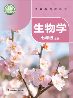 տư꼶ϲ(2024)
